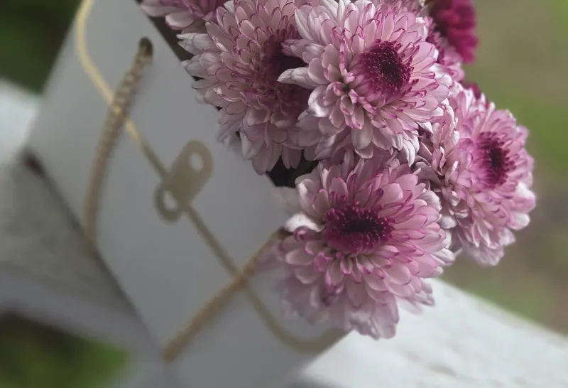 Close-up floral detail